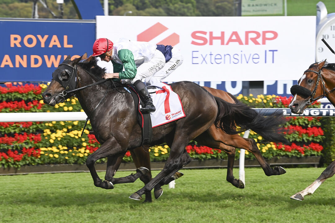 Sharp EIT Solutions corporate and supply partner of the Australian Turf Club